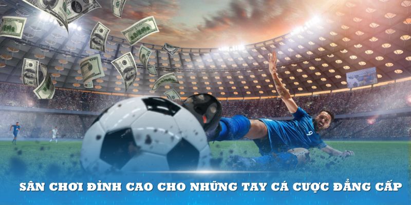 Sân chơi đỉnh cao cho những tay cá cược đẳng cấp